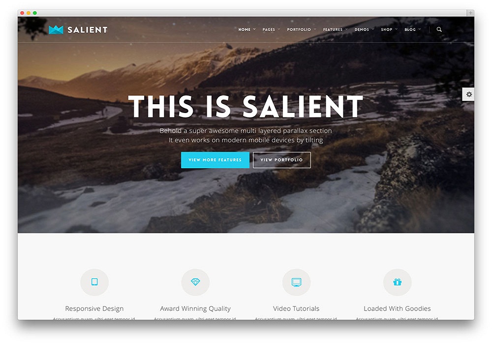 salient-flat-design-wordpress-theme.jpg